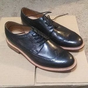 New in Box Bostonian Longwings